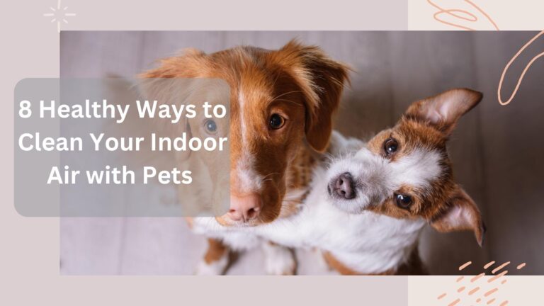 8 Healthy Way to Clean Your Indoor Air with Pets