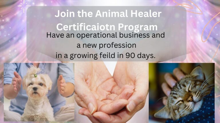 Introducing the Animal Healer Certification Program Accredited