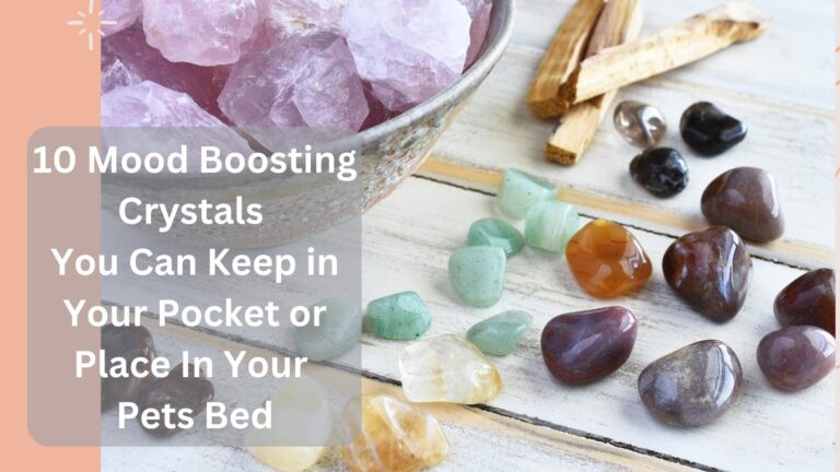 10 Mood Boosting Crystals You Can Keep in Your Pocket or Place In Your Pets Bed