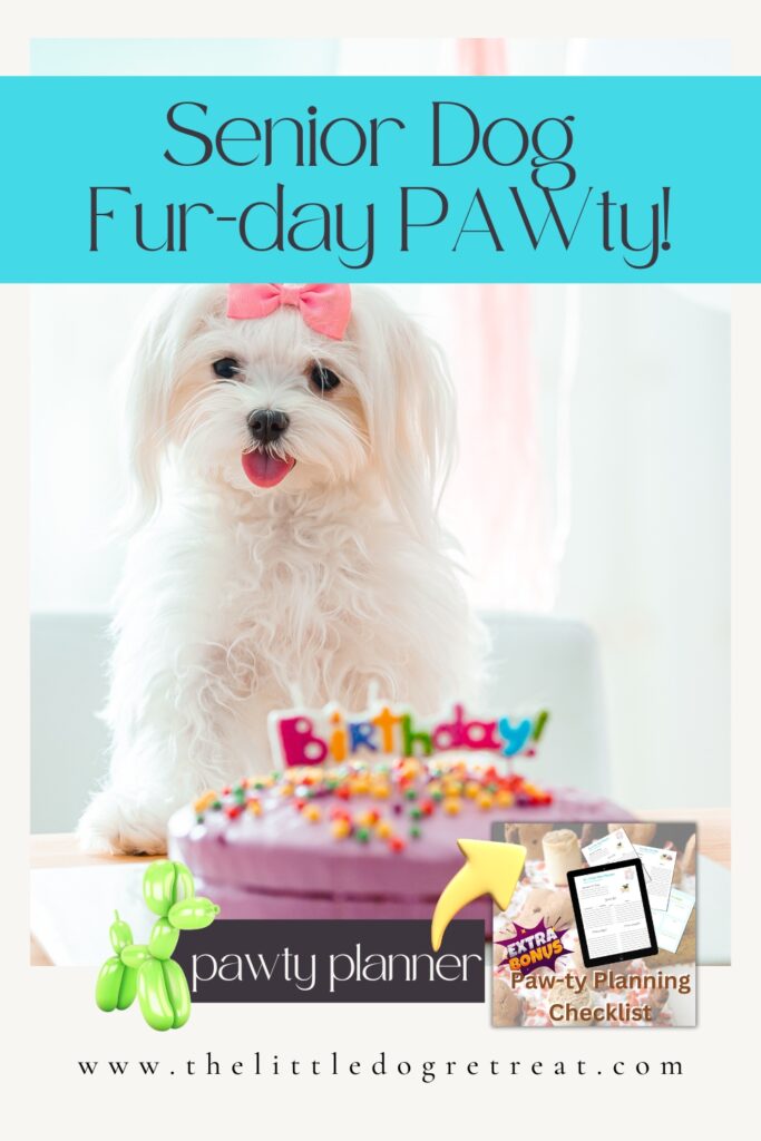 celebrate dog birthday