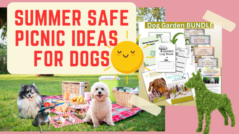 dog garden, dog safe plants, dog picnic, dog safe summer