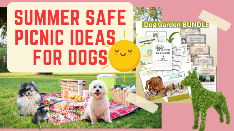 SUMMER SAFE PICNIC IDEAS